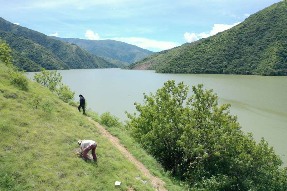 Orilla del río Cauca, en el área de influencia de Hidroituango. Imagen de referencia.