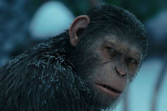 Disney trabaja en una nueva película de "El planeta de los simios"