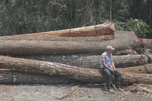 La Asociación de Comunidades Forestales de Petén es un ejemplo mundial de aprovechamiento sostenible de bosques. / Óscar Pérez