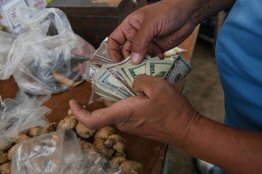 Vendedor cuenta dólares estadounidenses en un mercado en Caracas, Venezuela. - Imagen de referencia