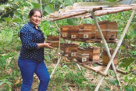 En Caquetá, uno de los departamentos más deforestados, han surgido iniciativas comunitarias que buscan proteger los bosques. / Juan Francisco García / WWF-Colombia.