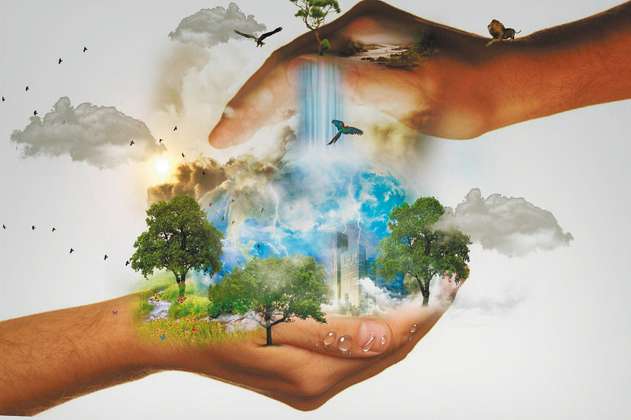 Día mundial del medio ambiente: 8 acciones para cuidar el planeta