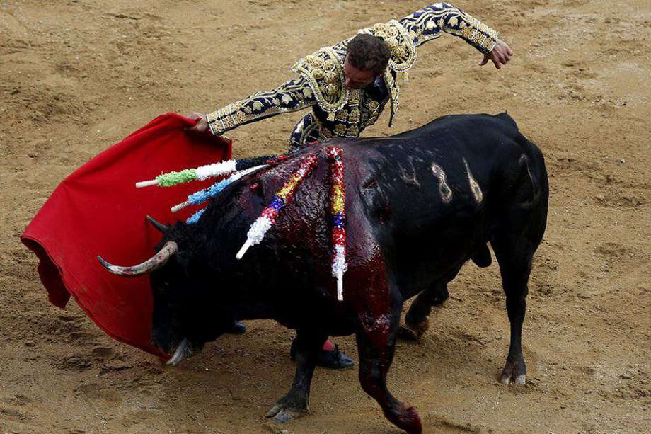El torero español Antonio Ferrera lidia un toro. Foto: EFE