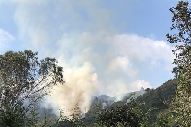 Bomberos controlan incendio forestal en los cerros orientales de Bogotá
