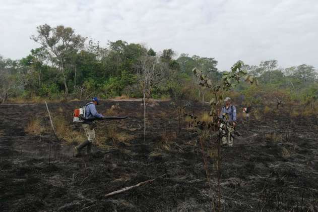 Balance del incendio en Vichada: 12 mil hectáreas de vegetación quemadas 