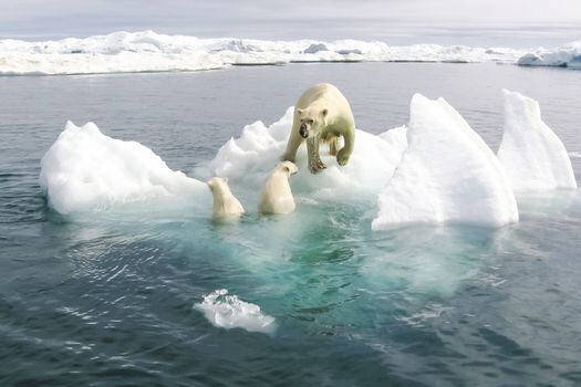 El clima en la Antártida ha aumentado 3 °C, lo que significa que todas aquellas plataformas de hielo que un día fueron estables ahora corren peligro.  / AFP