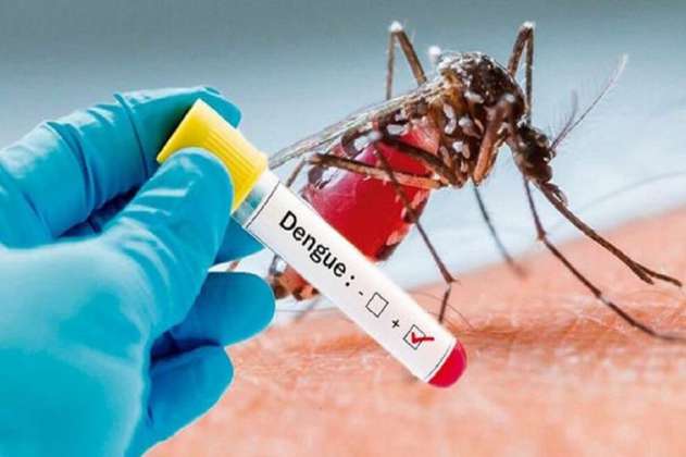 Personería de Barranquilla pide medidas ante aumento de casos de dengue