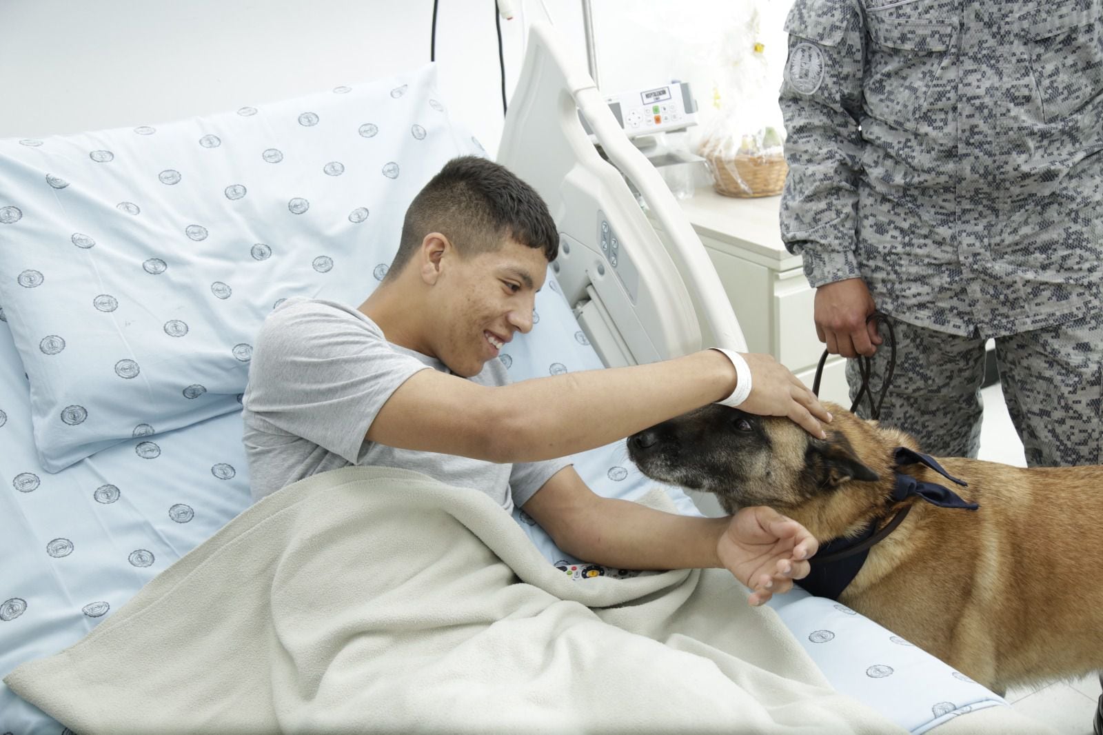 Mascotas que sanan: hospitales abren sus puertas a animales de compañía para acompañar a pacientes