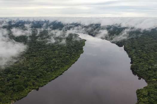 La Amazonía abarca una décima parte de las especies que habitan en el planeta.