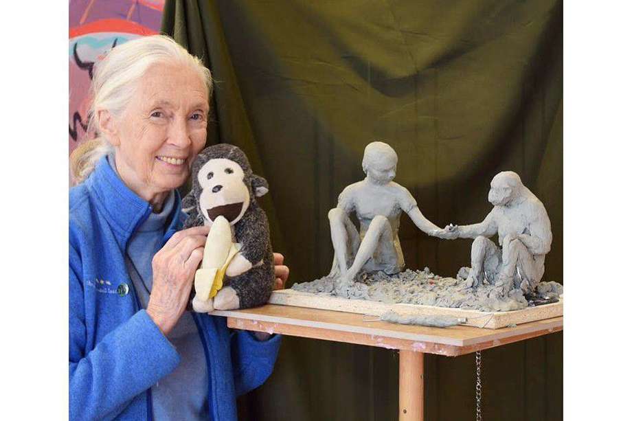 Jane Goodall, desde su fundación, lleva décadas promoviendo que se prohíban estas fotos. De hecho, en sus imágenes siempre posa con un mono de juguete.