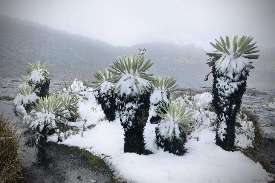 Volvió a nevar en el Parque Nacional El Cocuy luego del incendio de la semana pasada