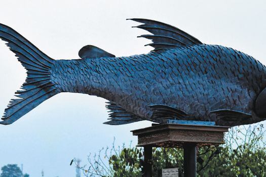  Miembros de Asodepo eligieron un monumento de un bocachico, el pez que habita las cuencas del norte de Colombia, para rendir un homenaje a las víctimas. / Comisión de la Verdad