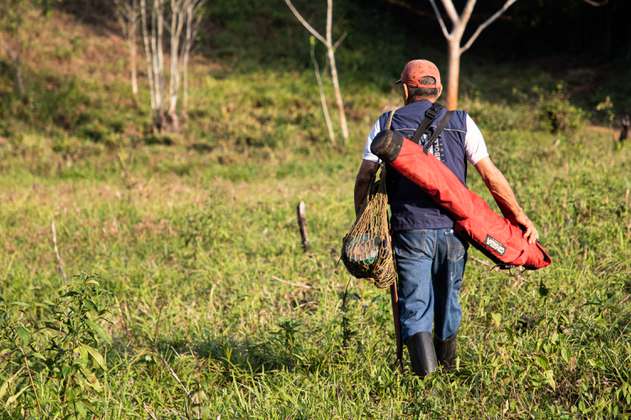 Agrobiodiversidad en Montes de María: una historia de resiliencia