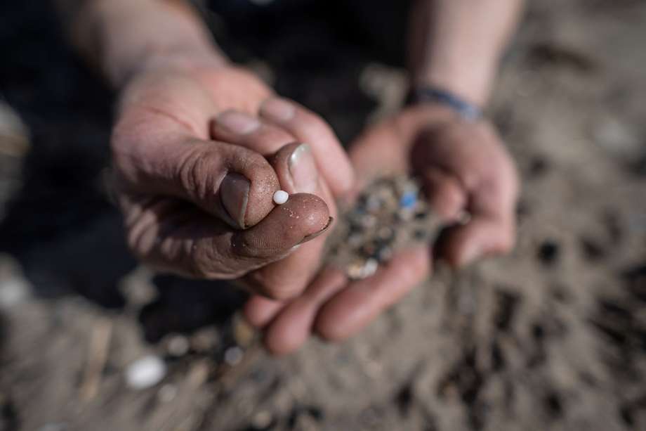 Un voluntario enseña los restos de basura que ha recogido en el sur de Inglaterra, en Whitesand Bay (Photo by Ben Stansall / AFP).