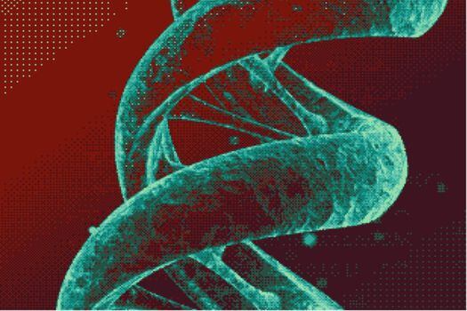 Con la secuenciación del Genoma Humano aprendimos el código con el que está programado nuestro cuerpo. CRISPR es una herramienta para editar ese código. / NASA