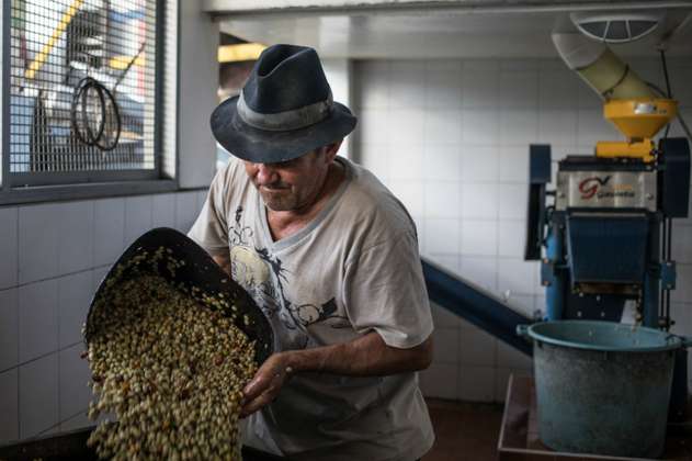 Tomar más café, una de las soluciones para la crisis de los productores
