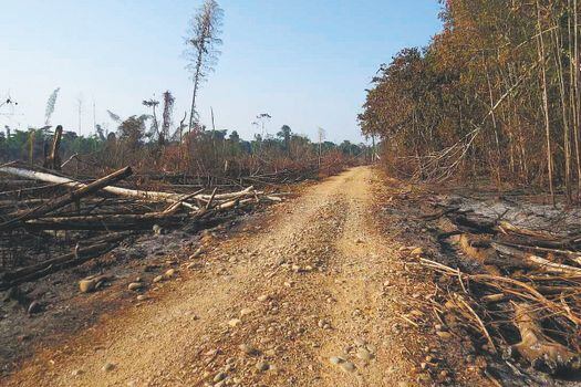 La deforestación también es debida a carreteras como la transversal de La Macarena y las vías informales que unen el río Guayabero, Ariari y Guejar. / PNN