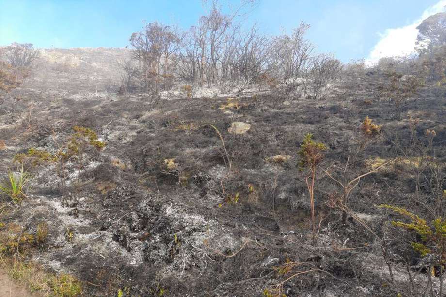 El incendio se presentó en el kilómetro 52 de la vía que comunica a Bucaramanga con el municipio de Pamplona.