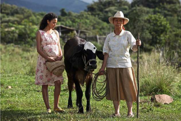 “Dos mujeres y una vaca”, película que retrata el conflicto armado colombiano