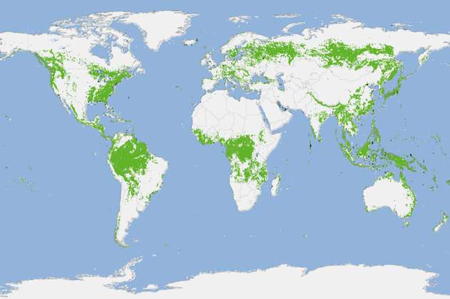 Crean un mapa de los bosques de toda la Tierra