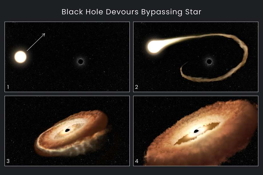 Esta secuencia de ilustraciones de artistas muestra el evento captado por el Telescopio Hubble. Así lo describe la Nasa: 1. Una estrella normal pasa cerca de un agujero negro supermasivo, que se encuentra en el centro de una galaxia. 2. Los gases exteriores de la estrella son atraídos hacia el campo gravitatorio del agujero negro. 3. La estrella se tritura cuando las fuerzas de las mareas la separan. 4. Los remanentes estelares son atraídos hacia un anillo en forma de rosquilla alrededor del agujero negro y eventualmente caerán en el agujero negro, liberando una enorme cantidad de luz y radiación de alta energía.
