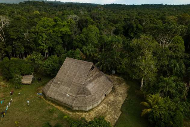 Día mundial de la selva: 10 razones para proteger la Amazonia