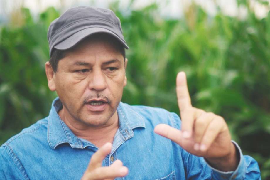  Henry Castellanos mostró sus cultivos de maiz y girasol,  en una entrevista a El Espectador. / Cristian Garavito
