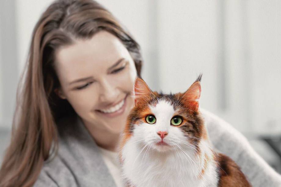 Alergia a los gatos: FEL D 1, la solución para los alérgicos