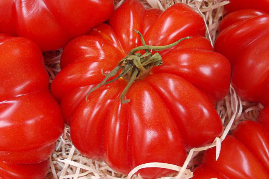 Siete beneficios del jugo de tomate