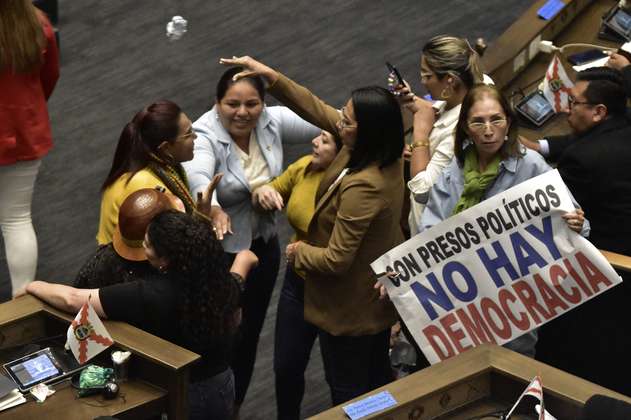 Congresistas bolivianas se enfrentaron a golpes en el Parlamento