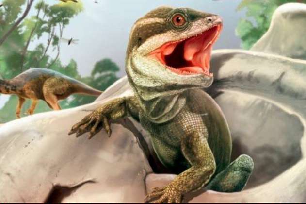 Científicos encuentran nueva especie de reptil ancestral en Suramérica 
