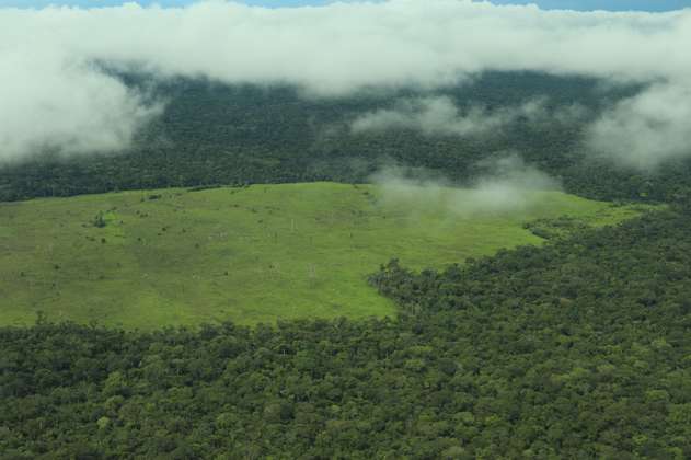 En video: así se ve desde el aire cómo avanza la deforestación en la Amazonía