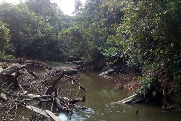 Denuncian ecocidio de un arroyo del Amazonas