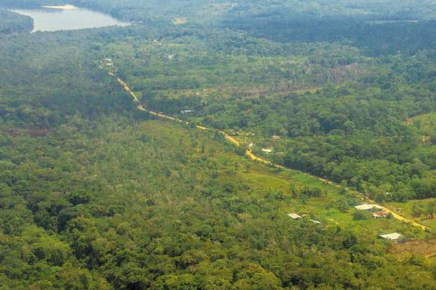 El conflicto por las tierras de una carretera en medio de las selvas de Vaupés