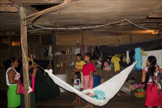 Más de 400 personas de la etnia Wounaan viven hacinados en el municipio de Docordó, Chocó, después de haber sido desplazados por enfrentamientos entre el ELN y disidencias que afectaron su resguardo, Pichimá Quebrada, ubicado en el municipio Litoral de San Juan, en el extremo sur del departamento. / Witness for Peace (WFP) Solidarity Collective