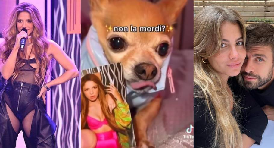 El dueño del perrito dejó en video cómo su mascota destroza la foto de Piqué y Clara Chía.