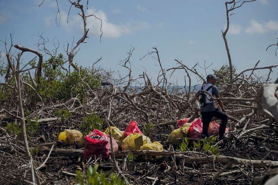 A los manglares también llega una gran cantidad de basura con la marea del Mar Caribe. / Lina Botero