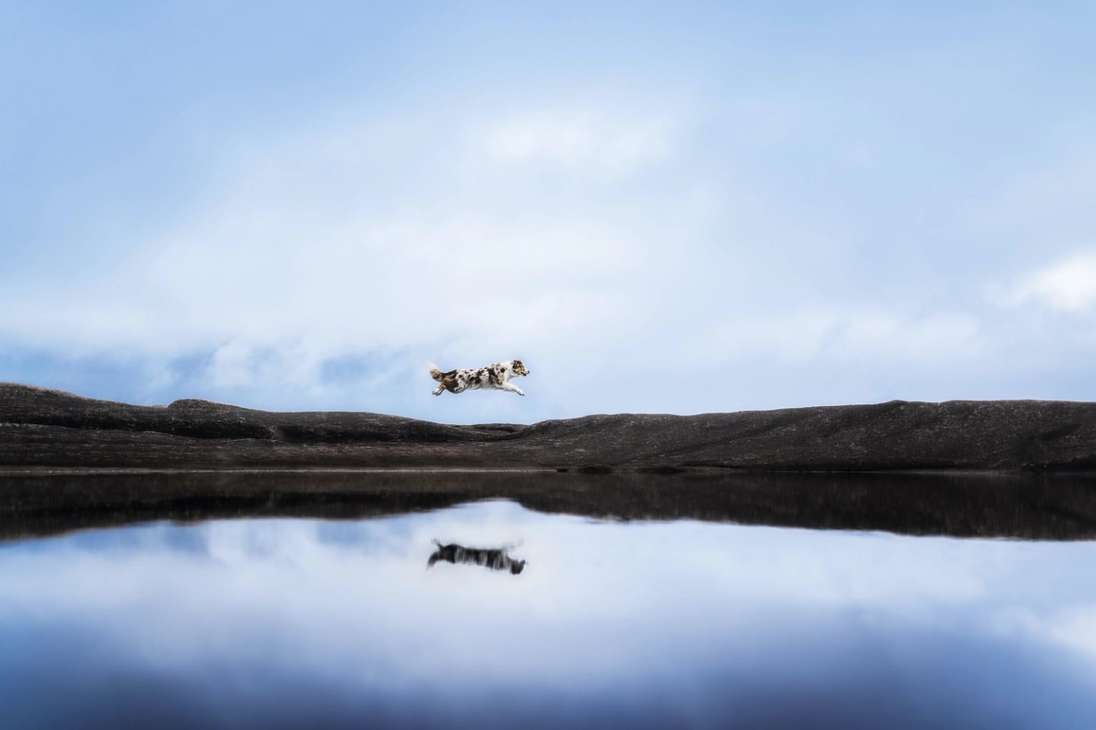 Julia Haßelkuß toma esta imagen de un paisaje prístino en Noruega, que a pesar de estar frío y con niebla, buscó crear "una vista amigable y soleada" con este amigo de fondo.