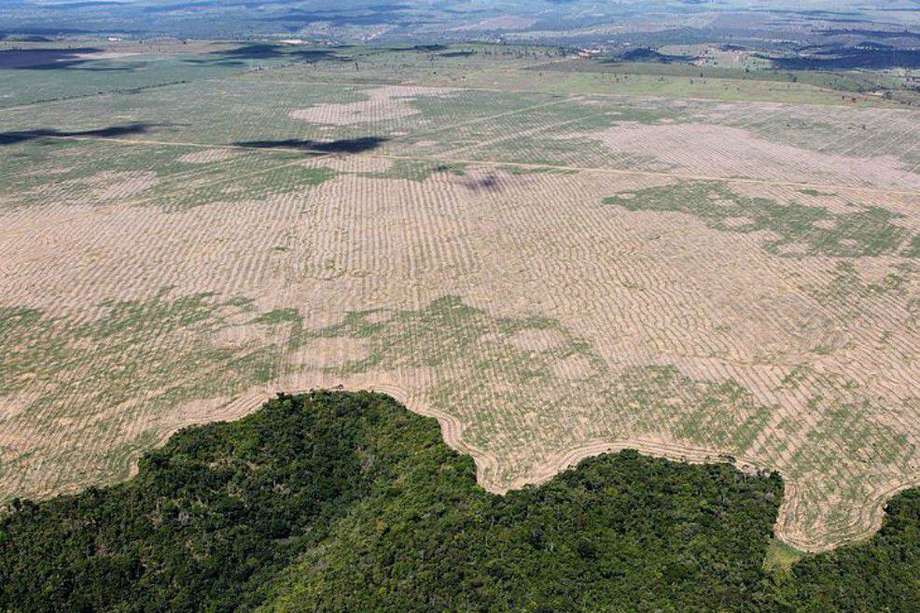 Imagen de referencia. La destrucción de la mayor selva tropical del mundo totalizó el equivalente a1.088 km 7,4 veces el territorio de la Ciudad de México.