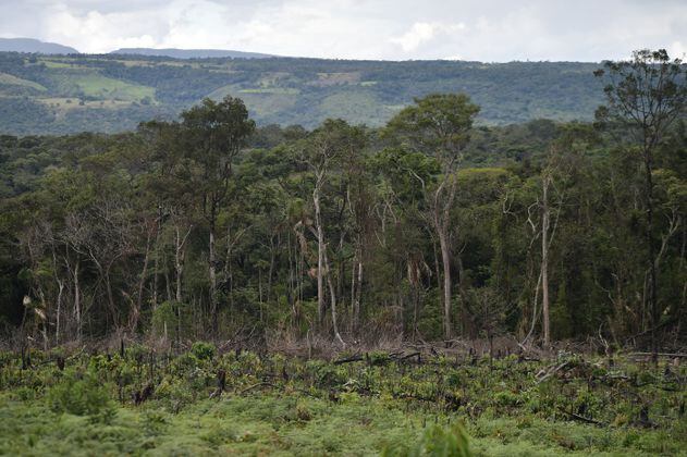En Colombia, emisiones asociadas a cambio climático crecieron 17% entre 2014 y 2018