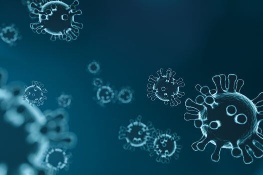 Entre los nuevos virus descubiertos también hay coronavirus.