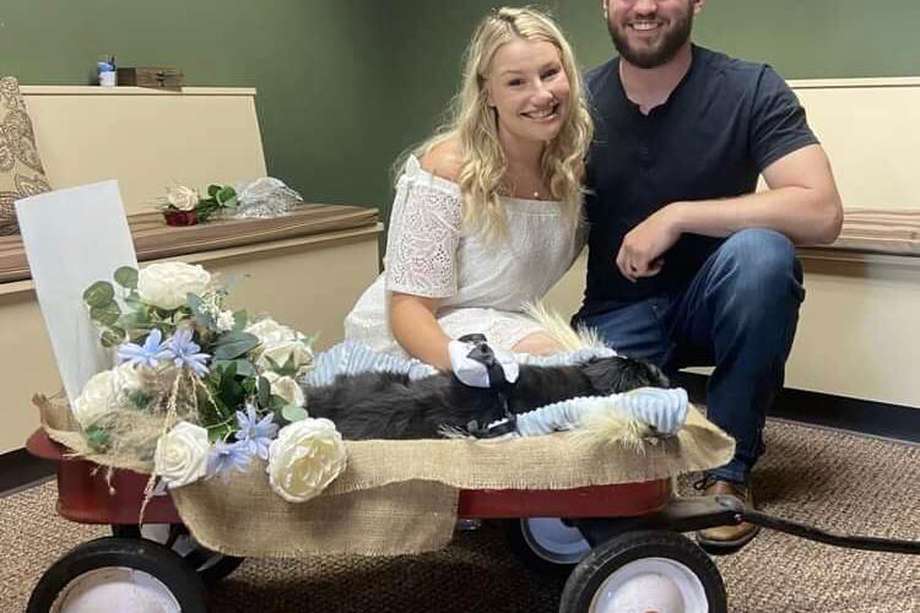 Cat Kukla y Jimmy, una pareja de Massachussets, celebraron su boda en una clínica veterinaria para que su perrito, Bear, de 17 años, estuviera presente.