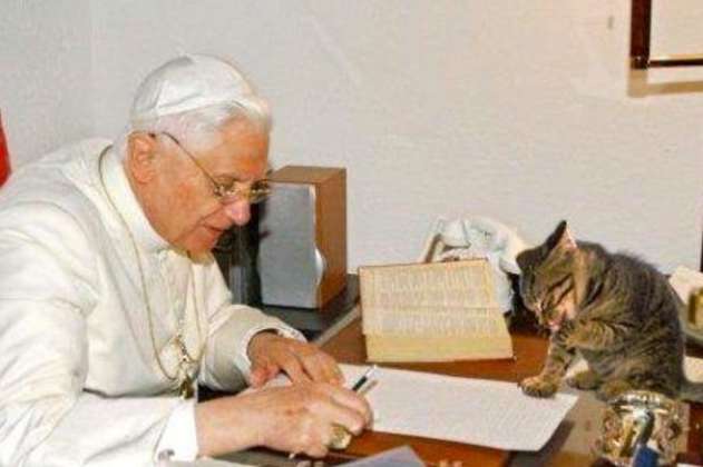 “Gatófilo empedernido”: la relación de Benedicto XVI con los gatos