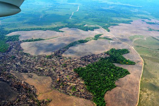 Deforestación en la Amazonía