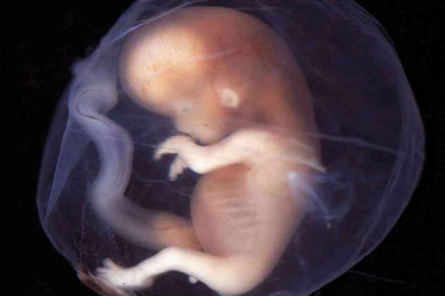 Prohíben un polémico procedimiento que mezcla el ADN de tres personas para crear bebés
