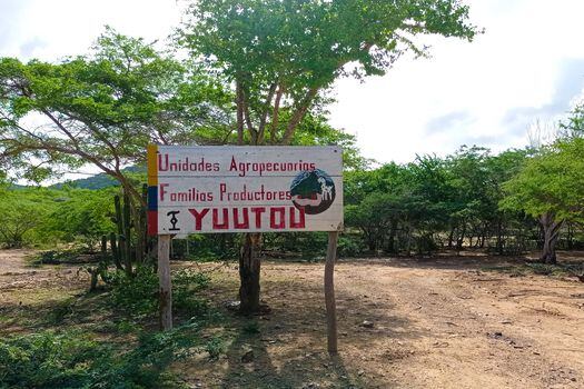 En La Guajira los reporteros de la emisora de paz de Fonseca han documentado iniciativas agroecológicas que combaten el hambre en ese departamento.