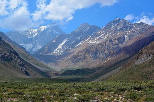 35 especies de vertebrados se han registrado en el recién creado Parque Nacional Glaciares de Santiago, distribuyéndose según la altitud. Entre ellos, el puma. Foto: tomada de la  Corporación Nacional Forestal, del Gobierno de Chile.