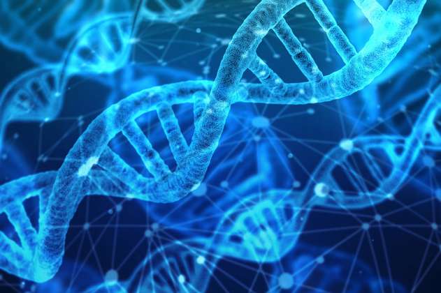 La nueva herramienta de edición genética que promete una precisión sin precedentes
