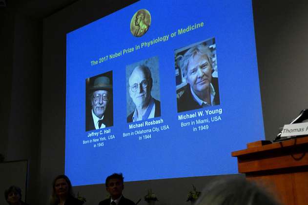 Nobel de Medicina a tres estadounidenses por estudios del "reloj biológico"