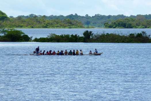 En 2020, existe un cuerpo significativo de evidencia revisada por pares para apoyar el argumento de que la amenaza de COVID-19 y las continuas violaciones de los derechos de los pueblos indígenas de la Amazonía ponen en peligro a la humanidad y su dependencia de los ecosistemas vulnerables para mantener la salud de planeta. / Good Free Pictures